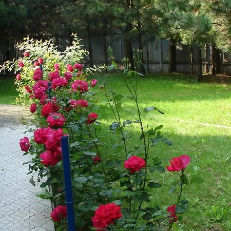 Πανσιόν Maria-eca